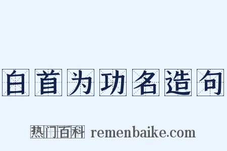 白首为功名造句是什么意思的图片